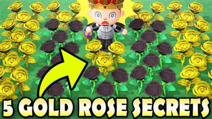 A Golden Guide: Unlocking Gold Roses In Animal Crossing