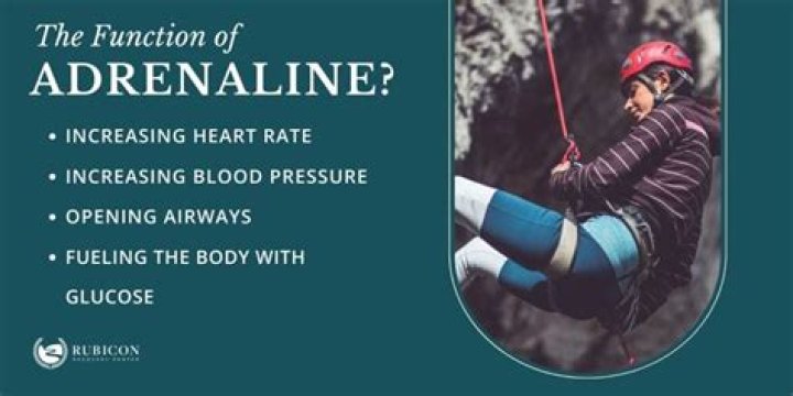 Adrenaline-Pumping Eatrenalin Photos For Your Next Adventure