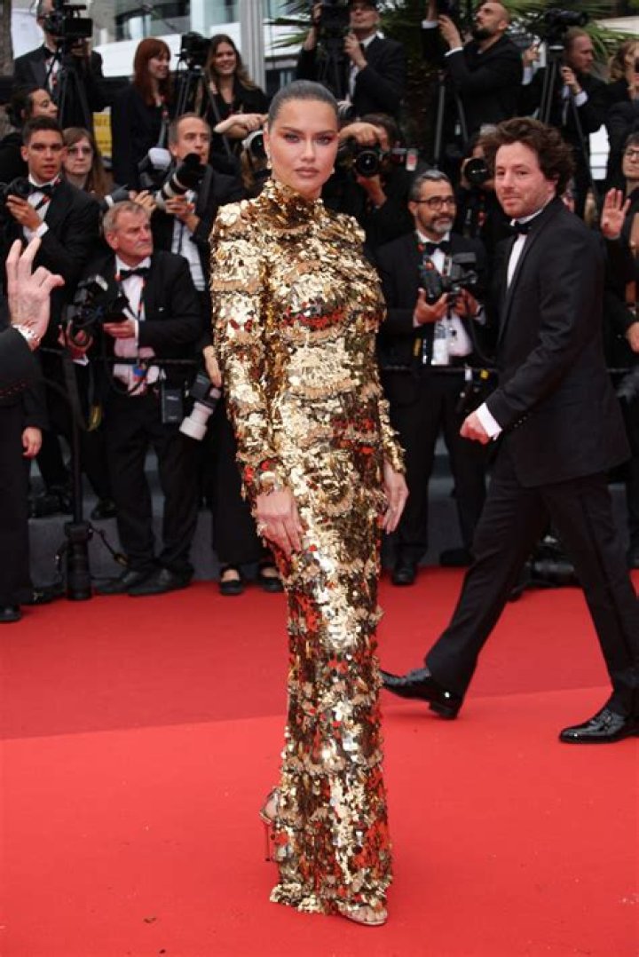 Adriana Lima Shines At Cannes