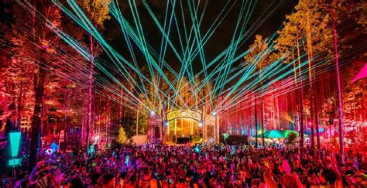 Aerial Explorations Of The Enchanting Electric Forest