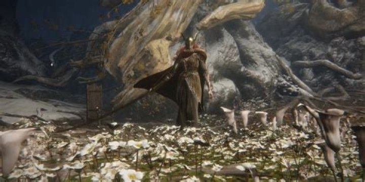 All About Rebirth In Elden Ring