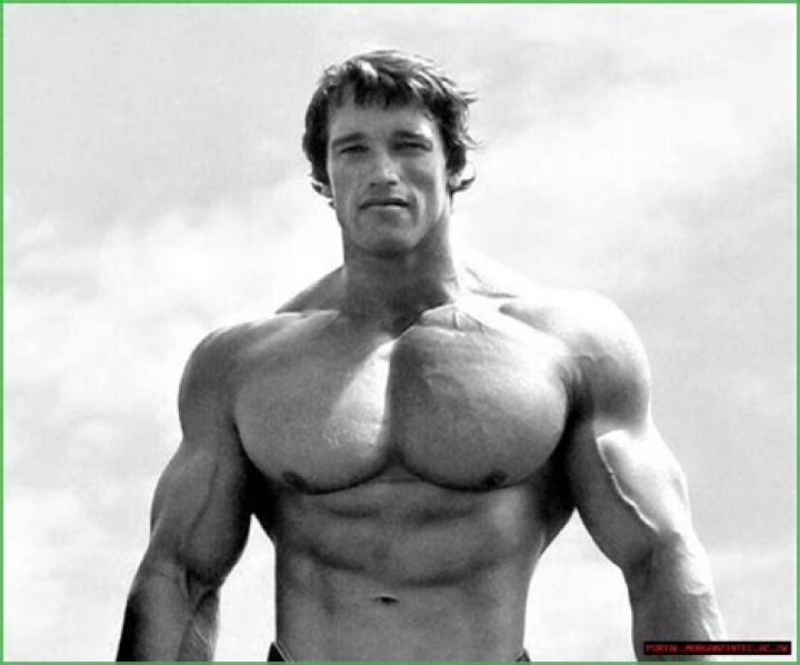 Arnold Shirtless: Unveil The Ageless Icon's Physique