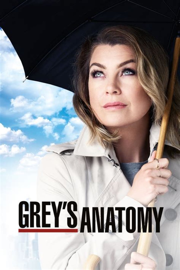 Benjamin Bratt's Impact On Grey's Anatomy
