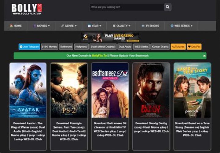 BollyFlix Latest: Your Ultimate Guide to the Hottest Bollywood Movies and Shows
