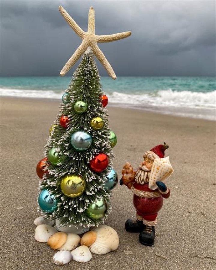 Captivating Coastal Christmas Images For A Serene Holiday