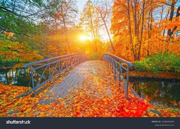 Captivating NC Fall Scenery: Your Picture-Perfect Guide To Autumn's Beauty