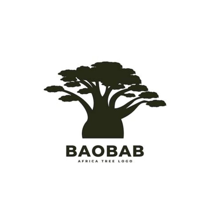 Discover Eye-Catching Baobab Logo PNG For Your Brand