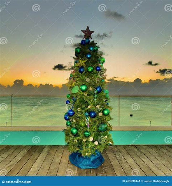 Discover The Enchanting Caribbean Christmas Tree: A Festive Symbol Of Island Cheer