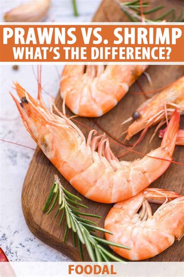Discover The Majestic Giant Prawn Shrimp: A Culinary Delight