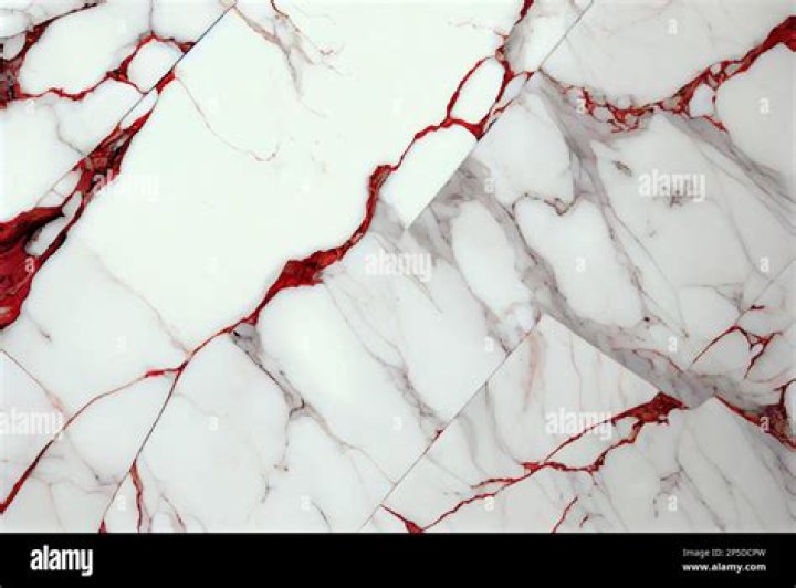 Discover The Marble-Like Elegance Of The Marble Looking Dog