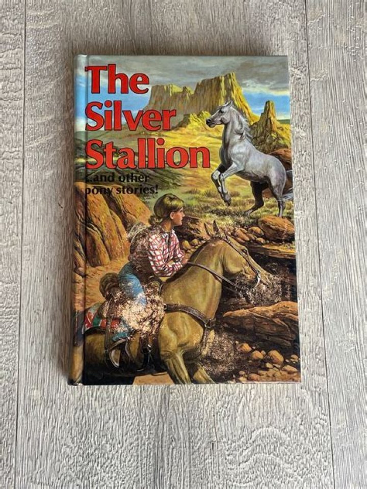 Discover The Timeless Age Of The Silver Stallion