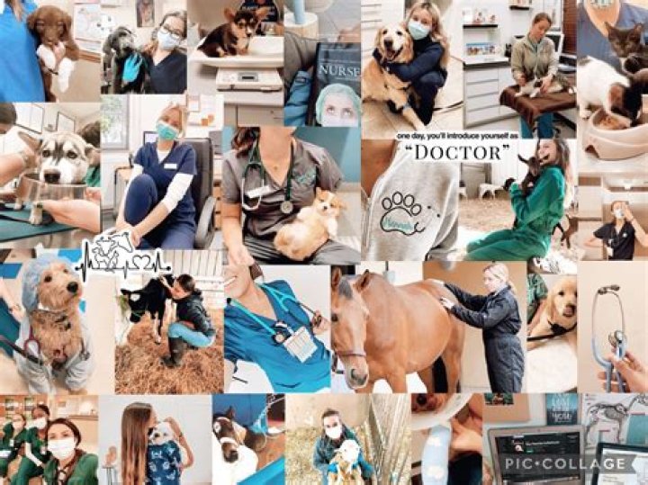 Dr. Olivia And Dr. Pol: The Veterinary Dream Team