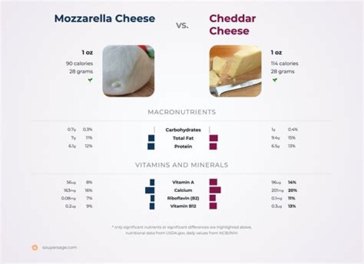 Enchanting Illustrations: A Visual Treat Of Mozzarella