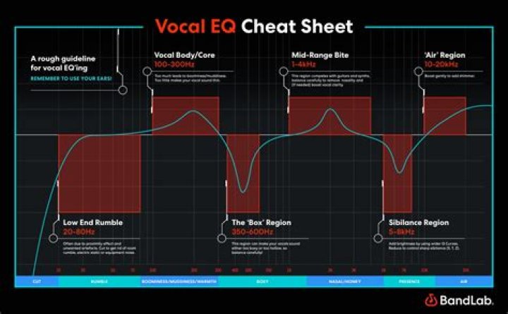 Enhance Your Vocals With Bao Tram's Vocal Enhancement Techniques