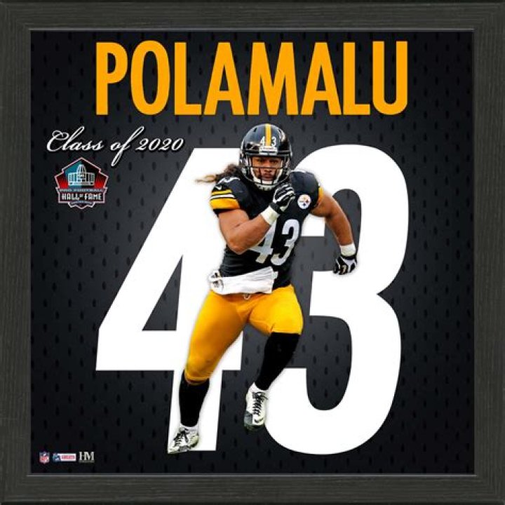 Epic Captures Of Troy Polamalu: See The Legendary Photos