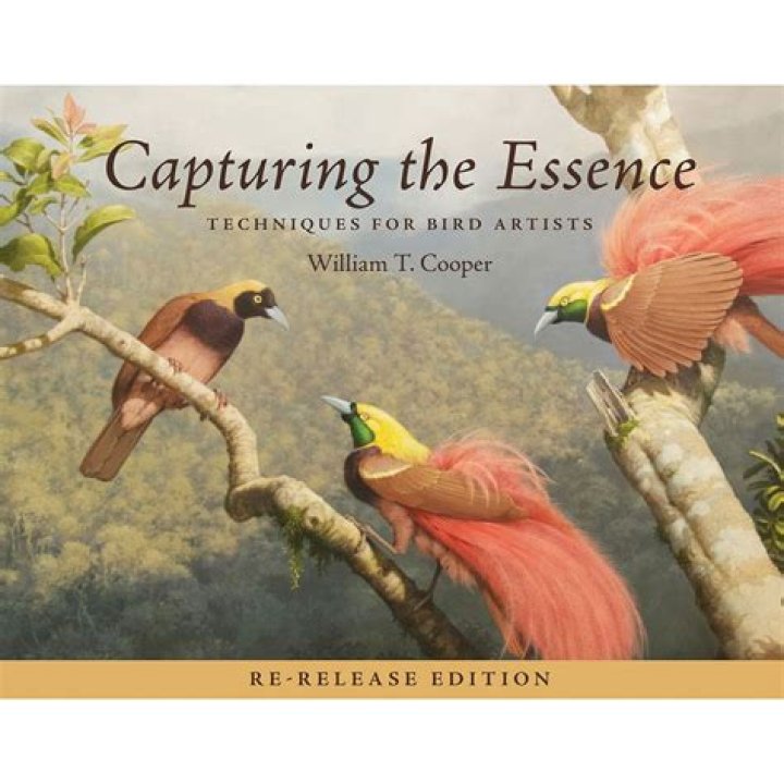 Exceptional Mike Miller Photography: Capturing The Essence