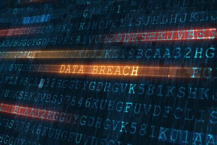 Exclusive: Devastating Wipitdev Leak Exposes Sensitive Data