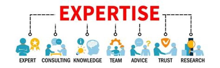 Expert Insights From SEO Specialist Brandon Magnuson