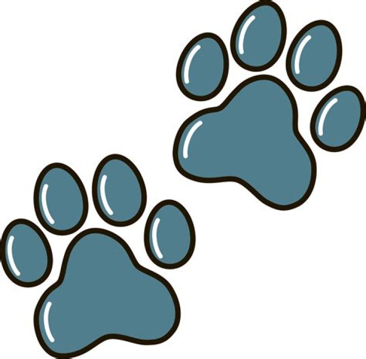 Exquisite Dog Footprints Clipart For Unique Creations