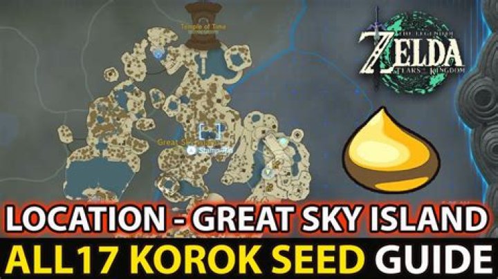 Find All 1000 Korok Seeds: The Ultimate Guide For Zelda: Breath Of The Wild