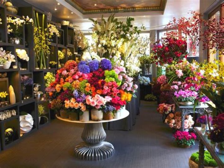 Find The Best Dunnellon Florist For All Your Floral Needs