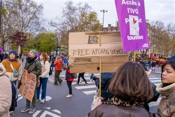 Jacqueline Jean Schiappa: The Trailblazing Advocate For Women's Rights