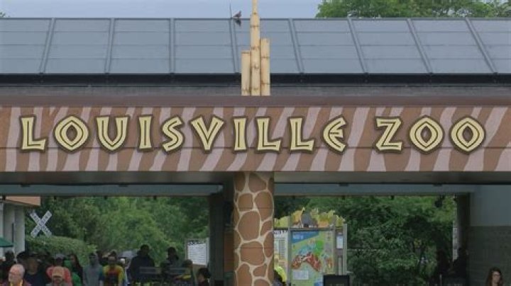 Join The Louisville Zoo Volunteer Team: Make A Difference In Wildlife Conservation