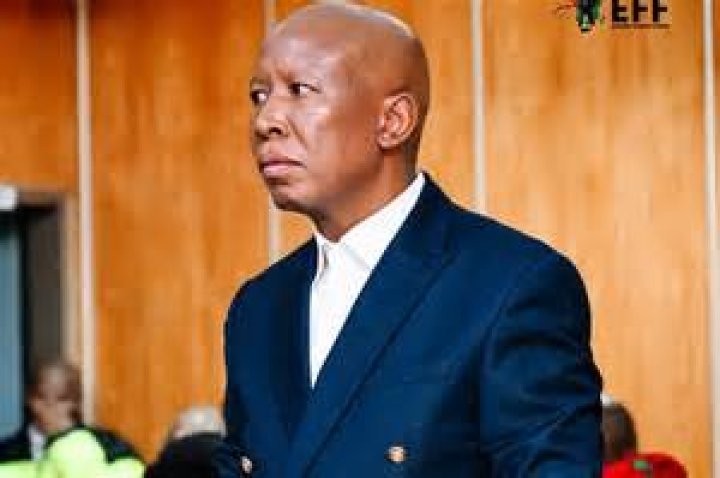 Julius Malema's Age: How Old Is The South African Politician?