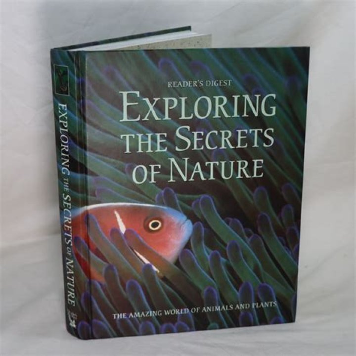 Majestic Aurori: Unlocking The Secrets Of Nature's Celestial Wonder