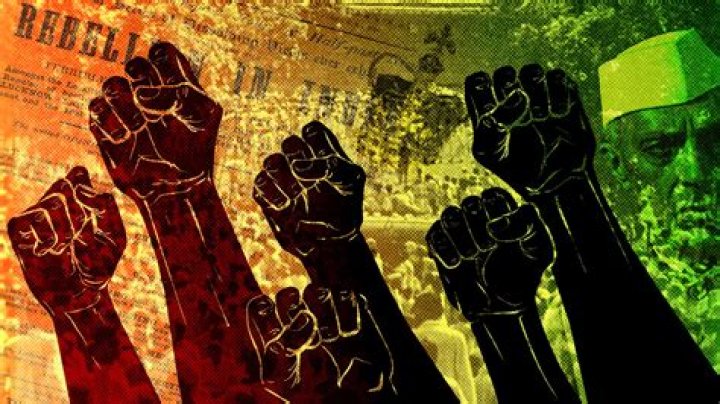 Major Singleton: Understanding The Importance Of Independence