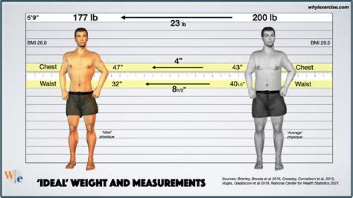Matilda Lutz Body: Figure And Measurements