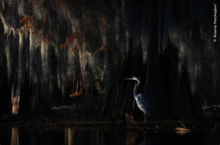 Michael Persh: The Art Of Contemporary Nature Photography