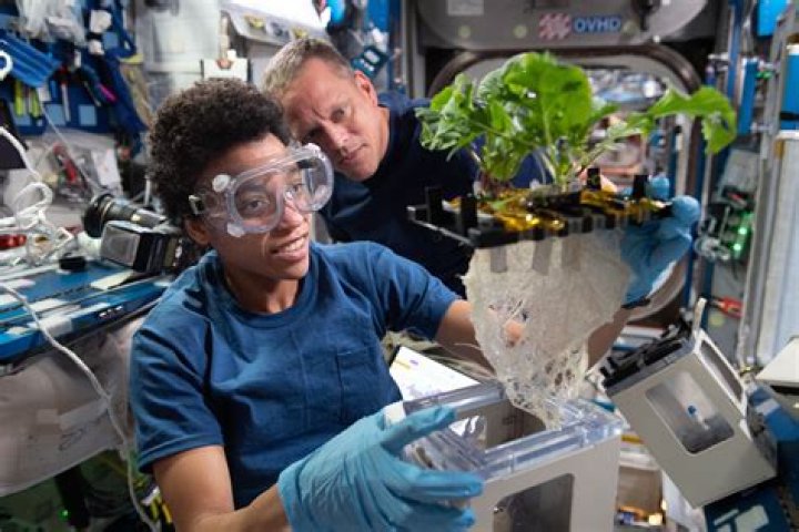Mildred Roach: A Life Of Discovery And Innovation