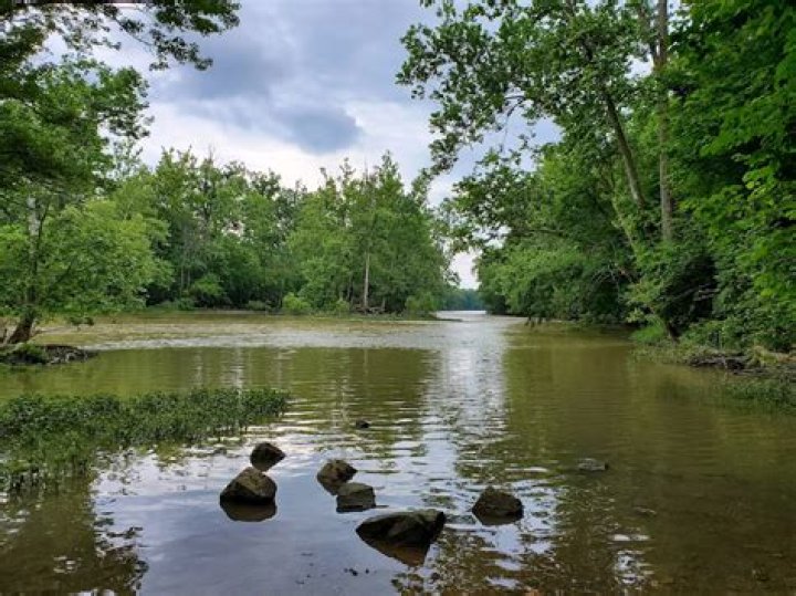 Photos Of Amberleigh Park: Capture The Beauty Of Nature