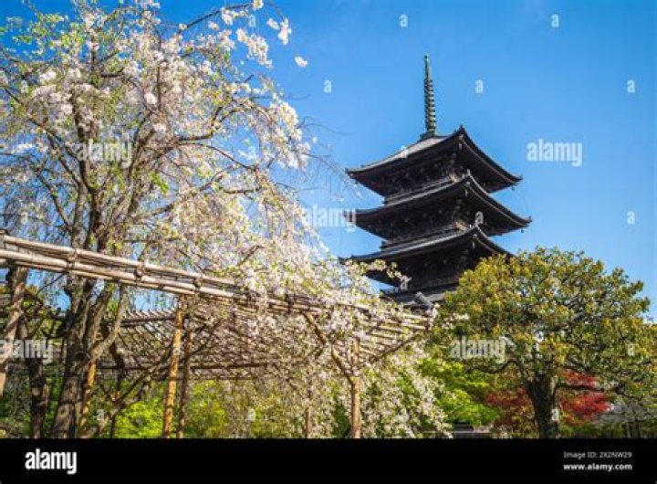 Pictures Of Toji Temple: A Visual Journey Through History