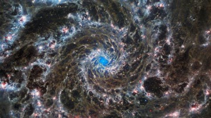 Rey Images: Discover A Galaxy Of Amazing Photos