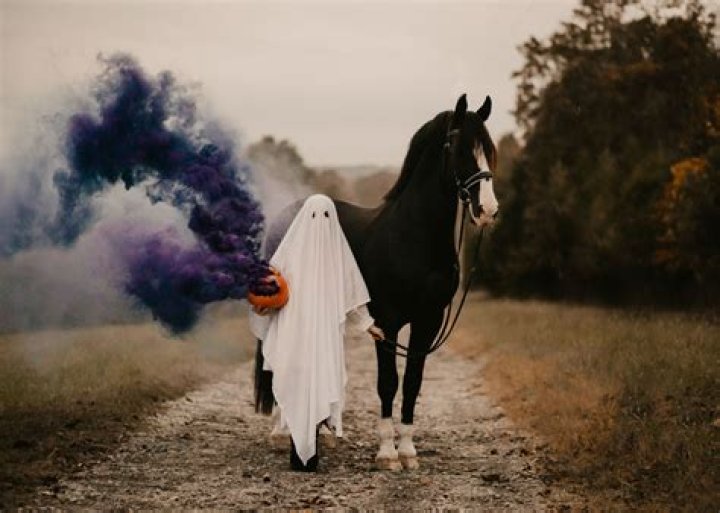 Spooky Halloween Horse Pictures: Capture The Spirit Of The Season