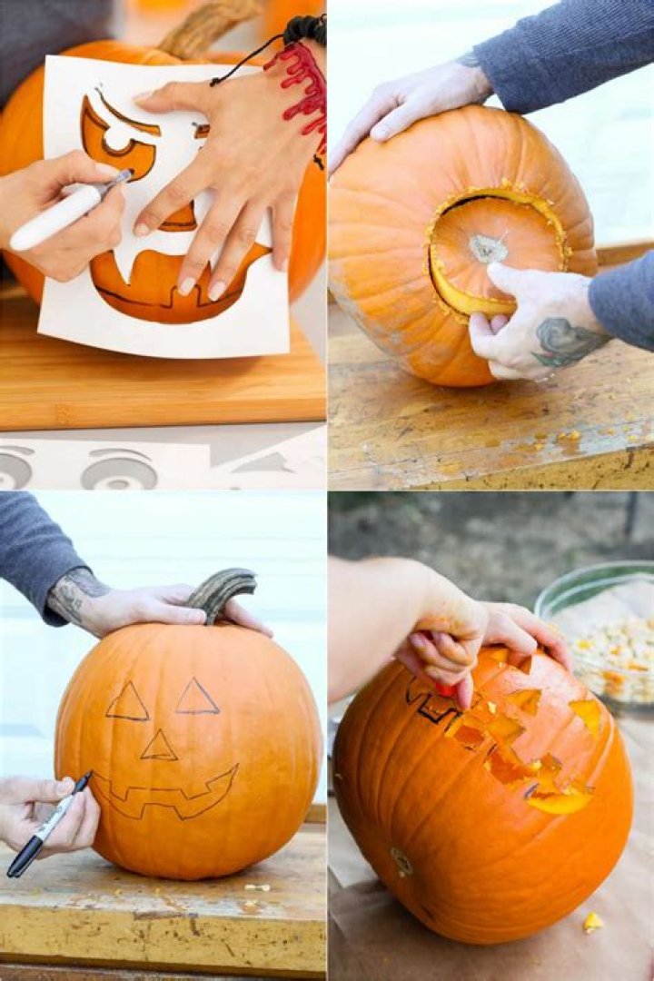 Stunning Pumpkin Graphic Designs: Elevate Your Designs