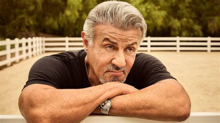 The Remarkable Age Of Sylvester Stallone In 1976: A Hollywood Icon's Journey