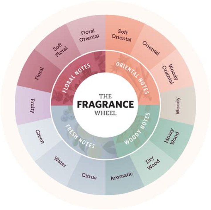 The Ultimate Guide To Osswald Fragrances: Discover Enchanting Scents And Aromas