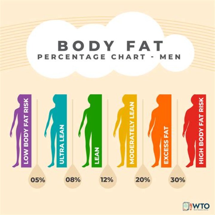 The Ultimate Guide To The Essential Fat Guy Fridge