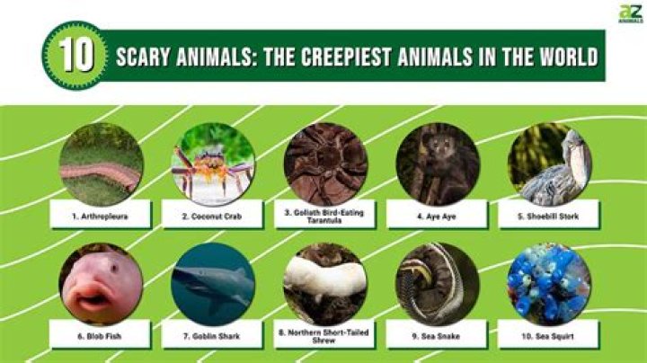 The World's Most Terrifying Animals You'll Never Believe Exist