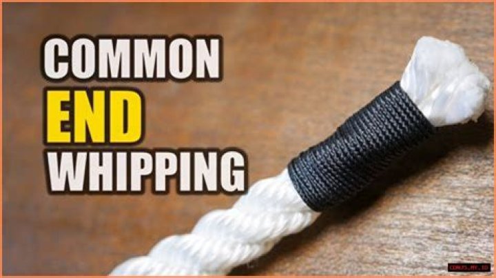 Ultimate Guide To Bare Back Whipping: Techniques, Benefits, And Precautions