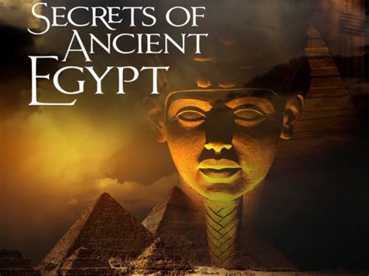 Uncover The Secrets: Whiptidev Leaks Unraveled