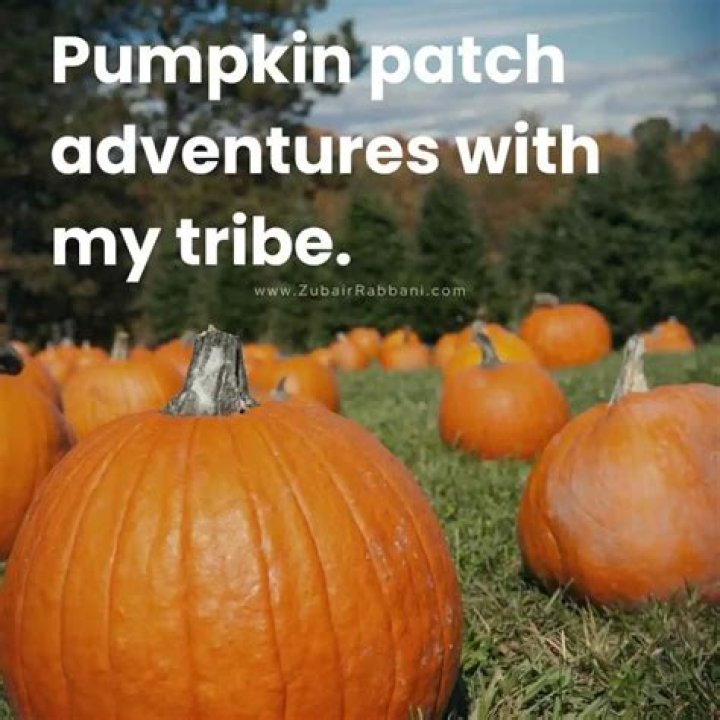 Unforgettable Moments: Pumpkin Patch Captions With Friends