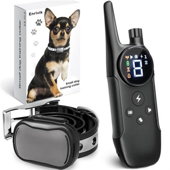 Unleash Remote Control Discipline: The Cutting-Edge Electric Collar For Humans