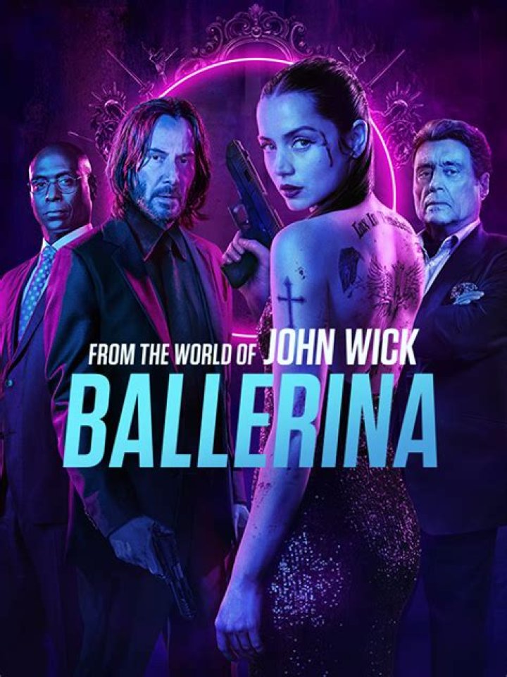 Unleash The Bollywood John Wick: A Thrill-Seeking Cinematic Experience