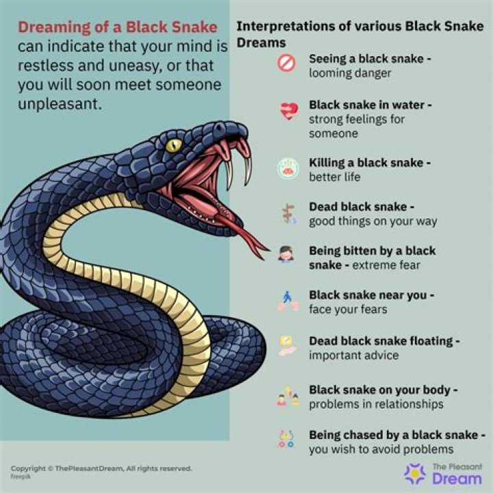 Unraveling The Mysteries: Meaning Of Dreams About Black And White Snakes